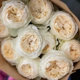 White Uhuru Garden Roses (Only in KBY) (Copy)