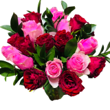 20 Red and Pink Roses (Only in KBY)