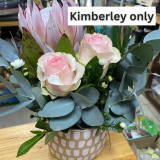 King Protea in a ceramic pot (only in Kimberley)