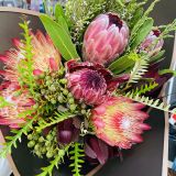 5 Proteas (Only in KBY)