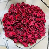 Red Roses (Only in KBY)