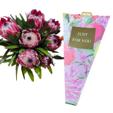 Just For You Protea Bunch and Cover